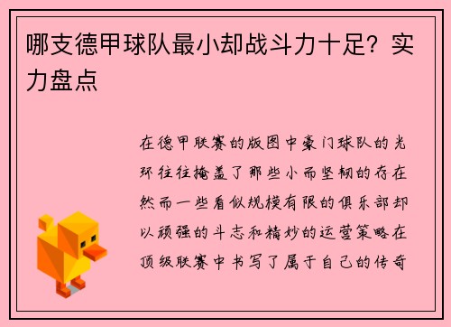 哪支德甲球队最小却战斗力十足？实力盘点