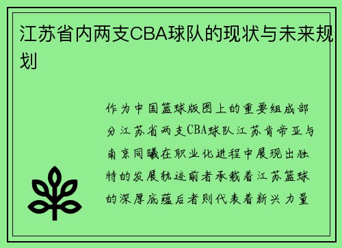 江苏省内两支CBA球队的现状与未来规划
