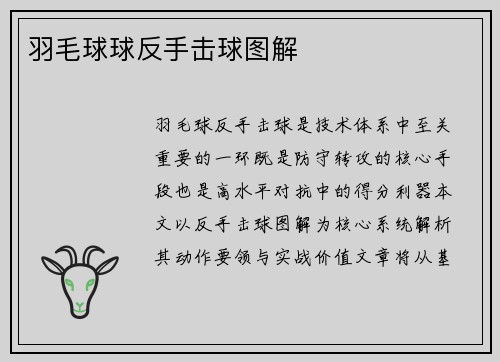 羽毛球球反手击球图解
